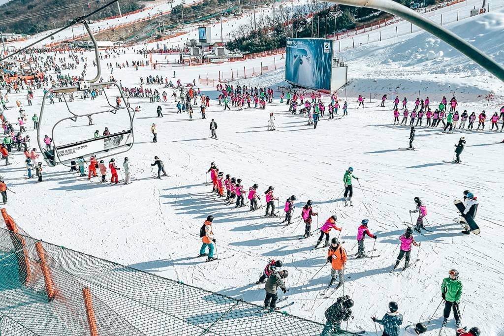 The beginners slope at Vivaldi – busy and crowded!