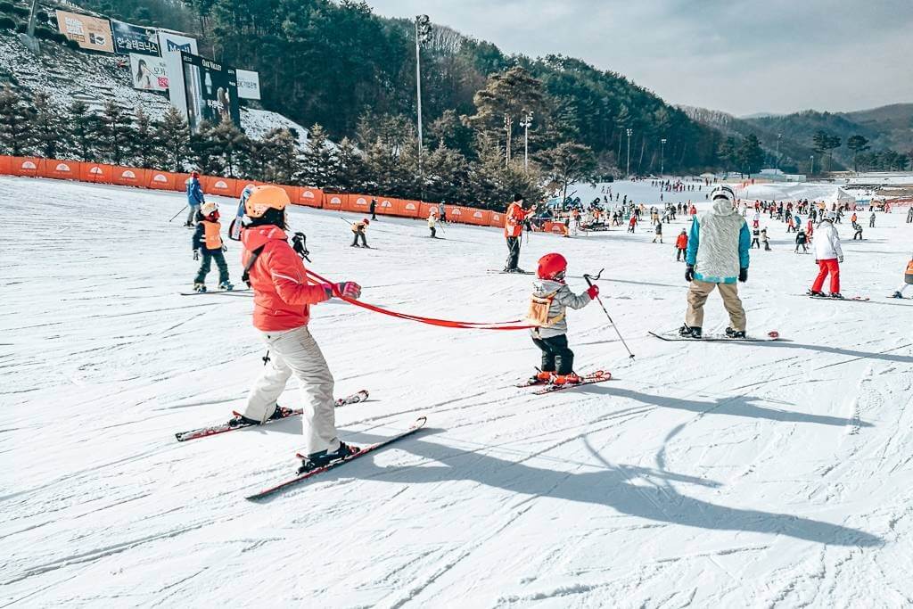 Watching the little kids learn to ski in Korea