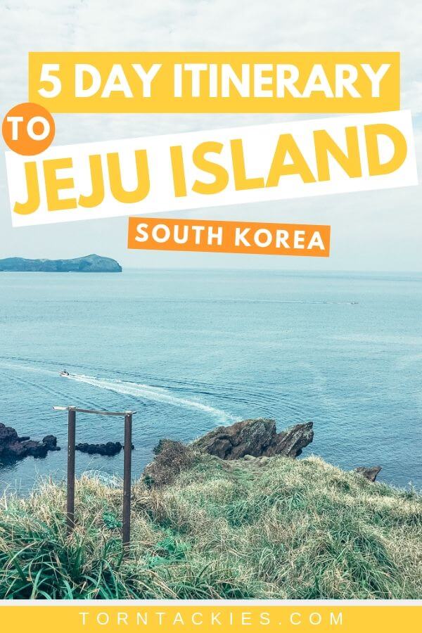 jeju day tour reviews