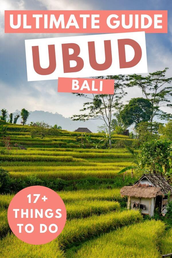 Travel guide to Ubud, Bali itinerary - Torn Tackies Travel Blog