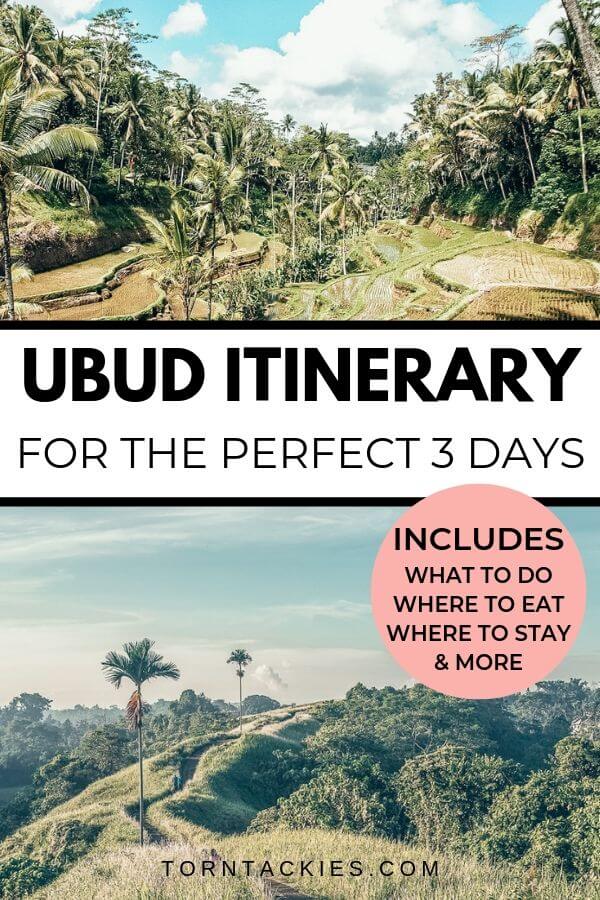 Ubud, Bali, travel guide and itinerary - Torn Tackies Travel Blog