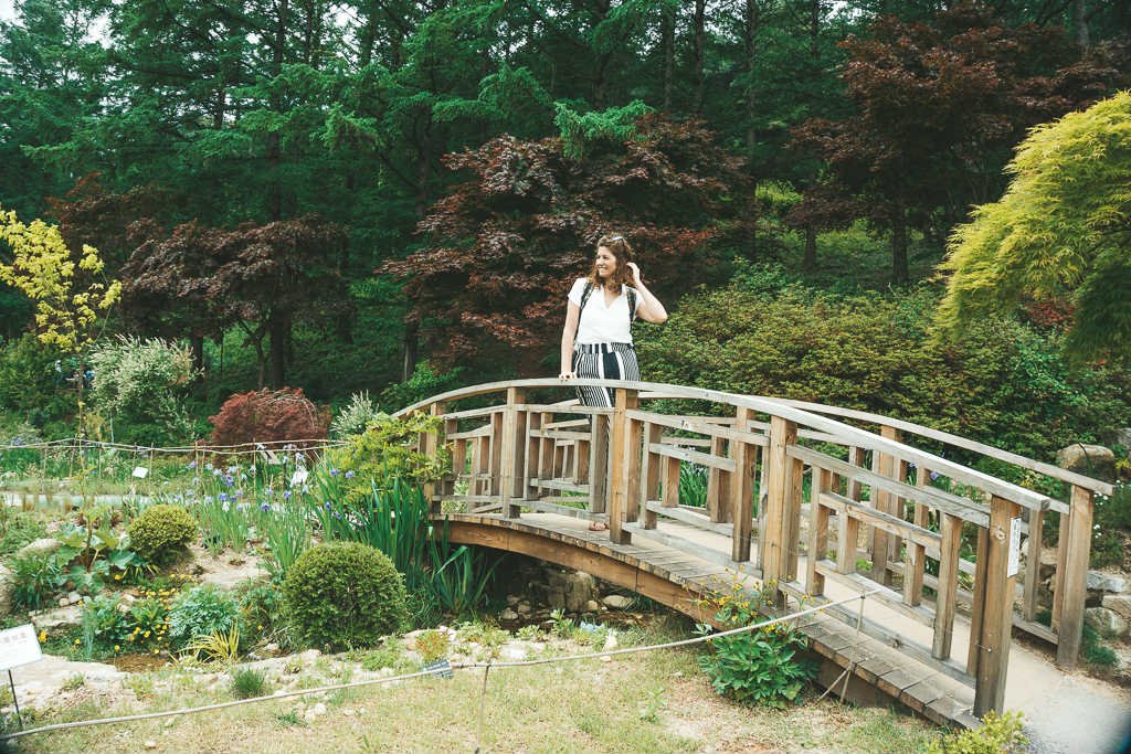 Exploring the Garden of Morning Calm