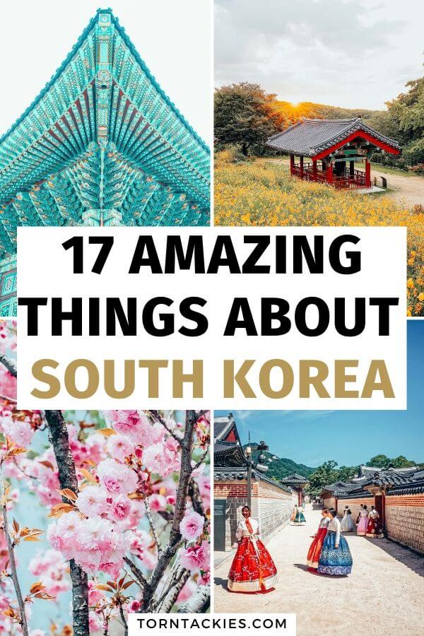 Here are 17 reasons why South Korea should be next on your travel itinerary