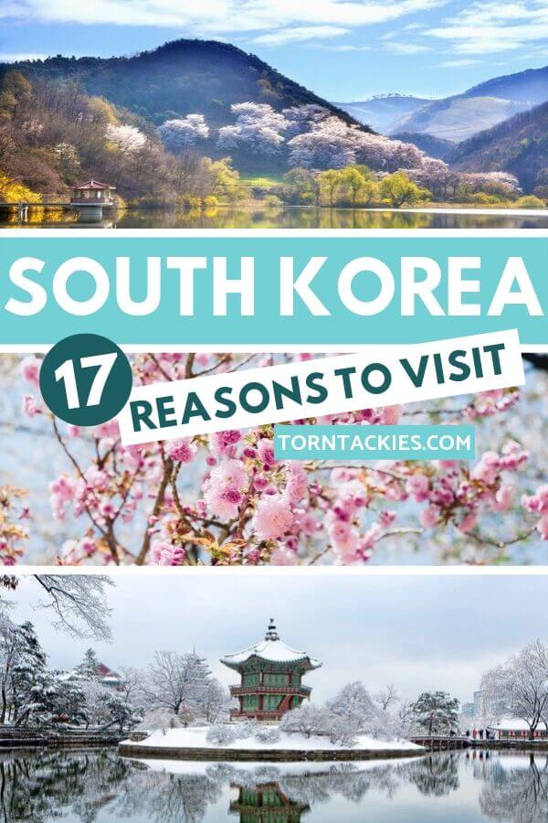 Why You Should Travel To South Korea