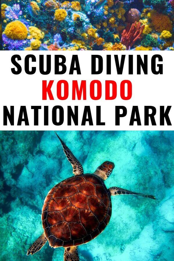 Scuba diving Komodo National Park in Flores, Indonesia
