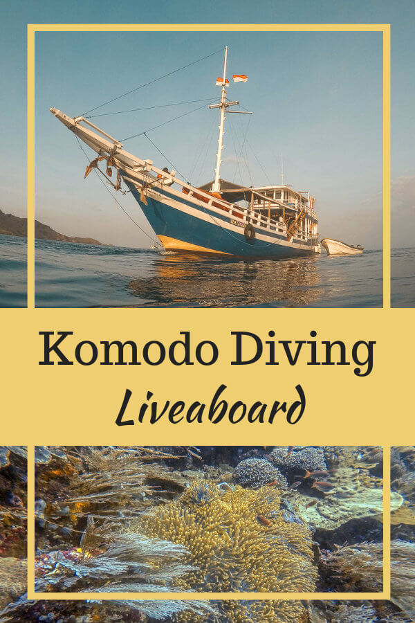 Komodo Diving Liveaboard