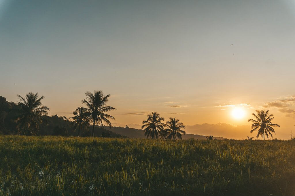 Scooter missions in Munduk, Bali