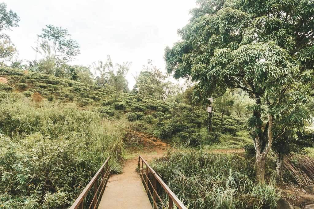 Ella Rock and Little Adam's Peak in Ella, Sri Lanka