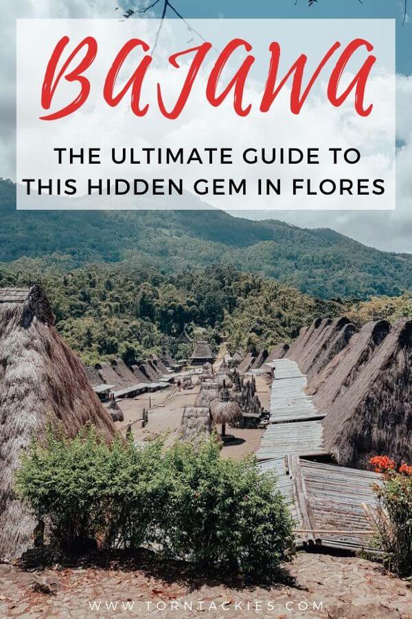 Ultimate Travel Guide to Bajawa in Flores Island, Indonesia - Torn Tackies Travel Blog