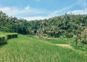 Visiting Sidemen, Bali Waterfalls, Rice Fields, Rafting & More