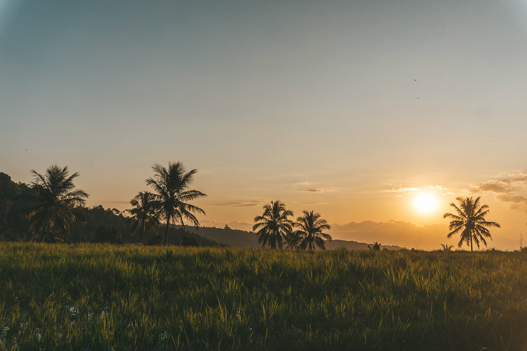 off the beaten track Bali - Munduk