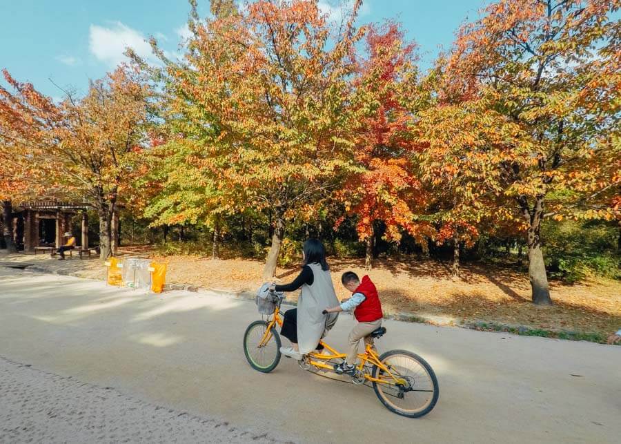 Visiting Seoul Forest in Seoul, South Korea