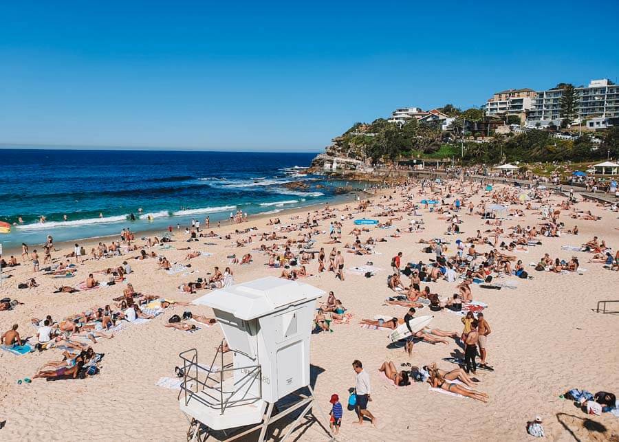 Bronte to Bondi Walk