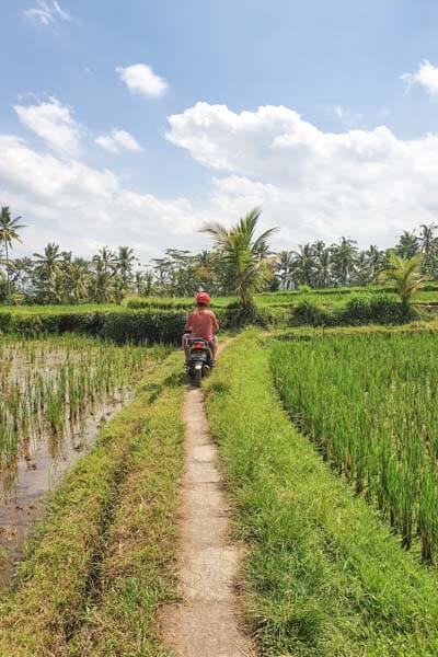 Things to do in Ubud