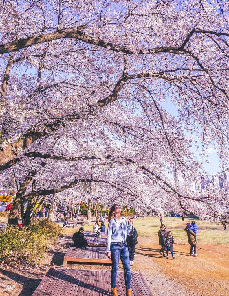 Packing for Spring in Korea