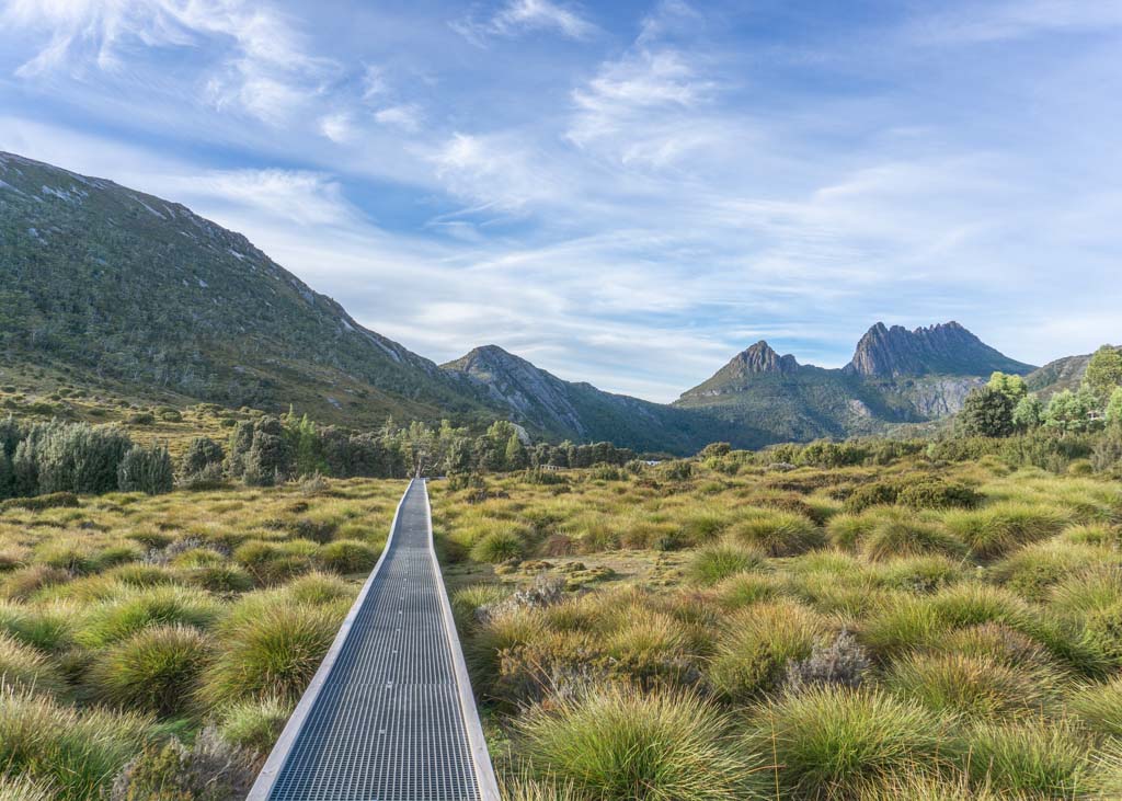 Path leading to Cradle Mountain