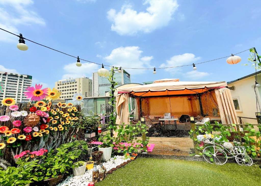Beautiful rooftop terrace and flowers at Hi Guesthouse