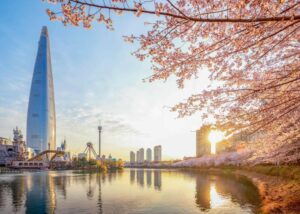 Lotte World and Lotte Tower with Cherry Blossoms