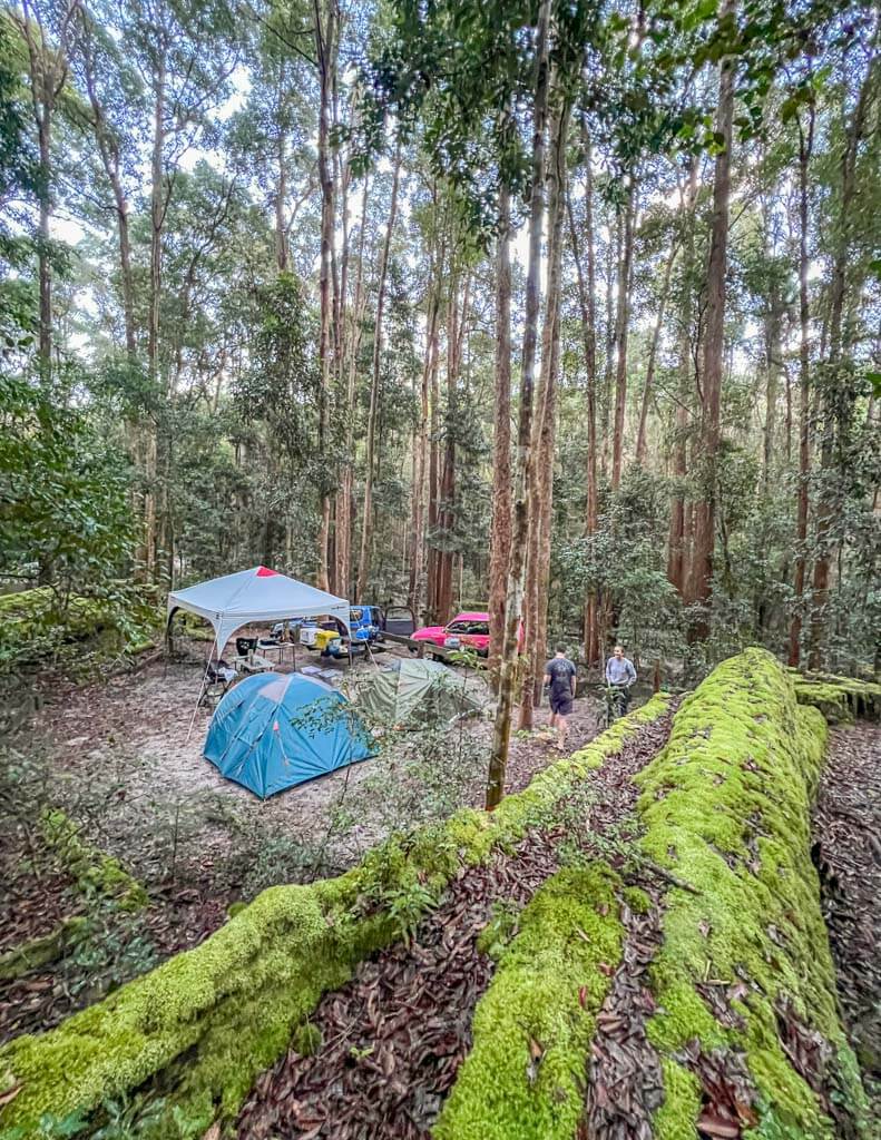 Central station fraser island