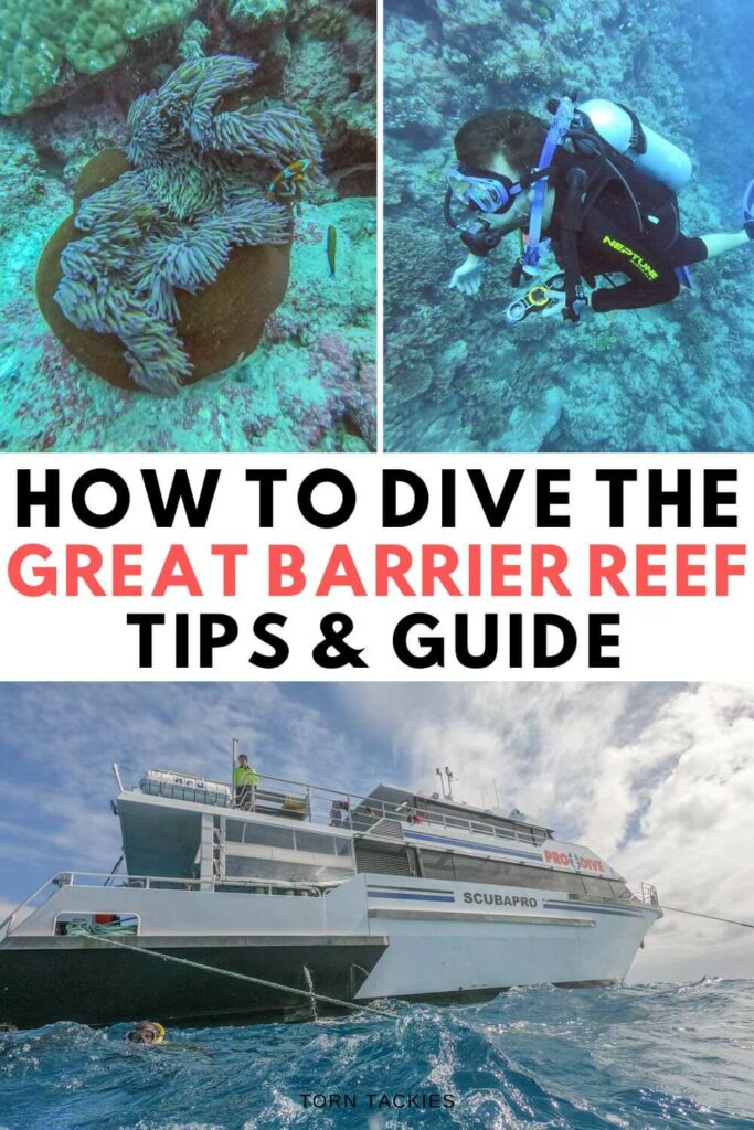 Great Barrier Reef Scuba Diving Australia