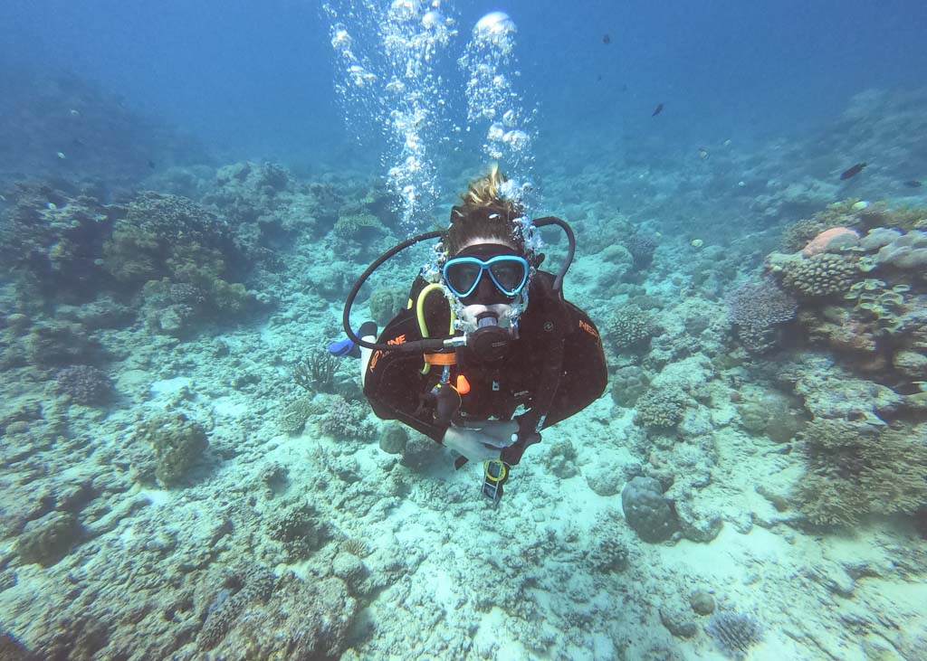Great Barrier Reef diving