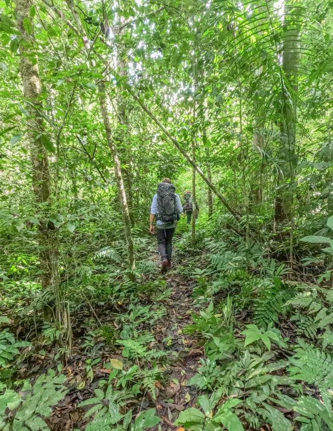 Amazon Jungle in Bolivia