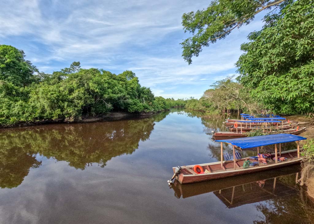 Bolivian Amazon tours