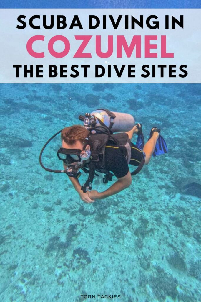 The best diving sites in Cozumel Mexico