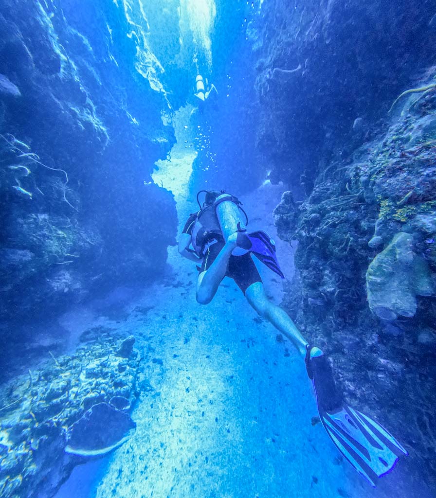 best dive sites in Cozumel