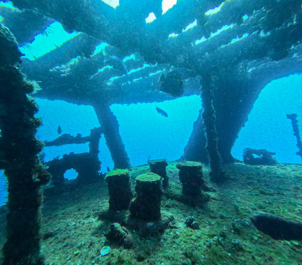 is diving isla mujeres worth it
