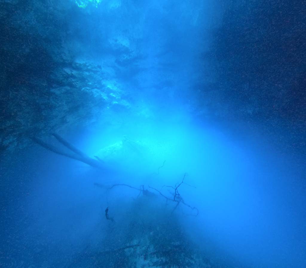 is it worth cenote diving in mexico