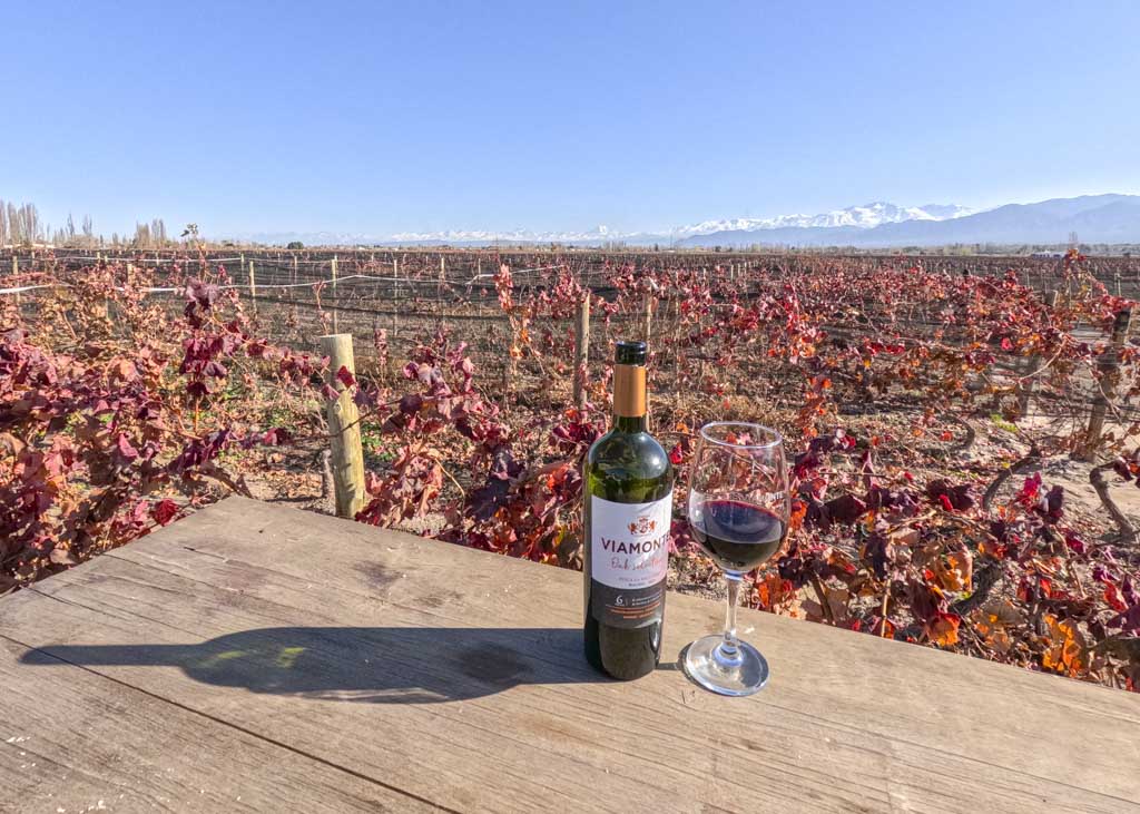 A bottle of wine next to a glass with a vineyard in the background and the Andes mountain range