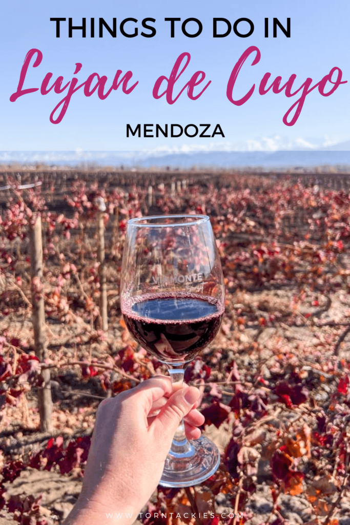 Pinterest pin of the best things to do in Lujan de Cuyo, Mendoza Argentina