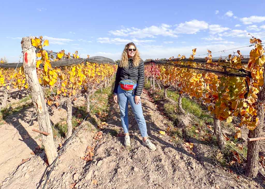 Mendoza wineries itinerary