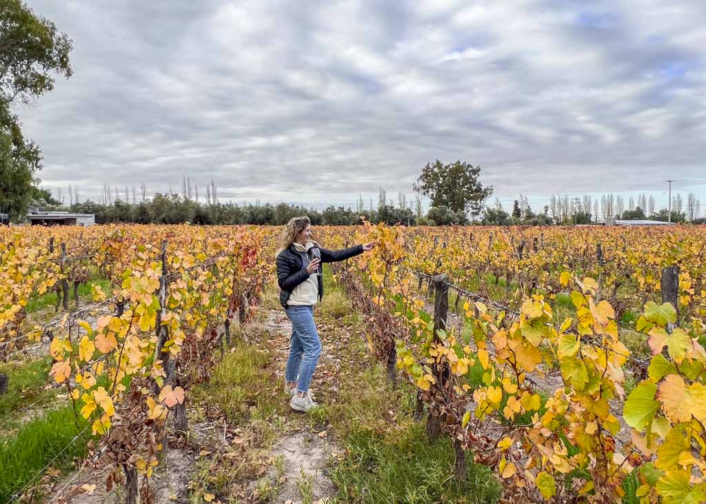 Ultimate Guide to Maipu Mendoza Wineries restaurants More Torn Tackies Travel Blog