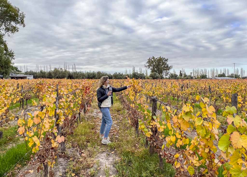 A women staying in the vineyards at a winery in Mendoza, Argentina