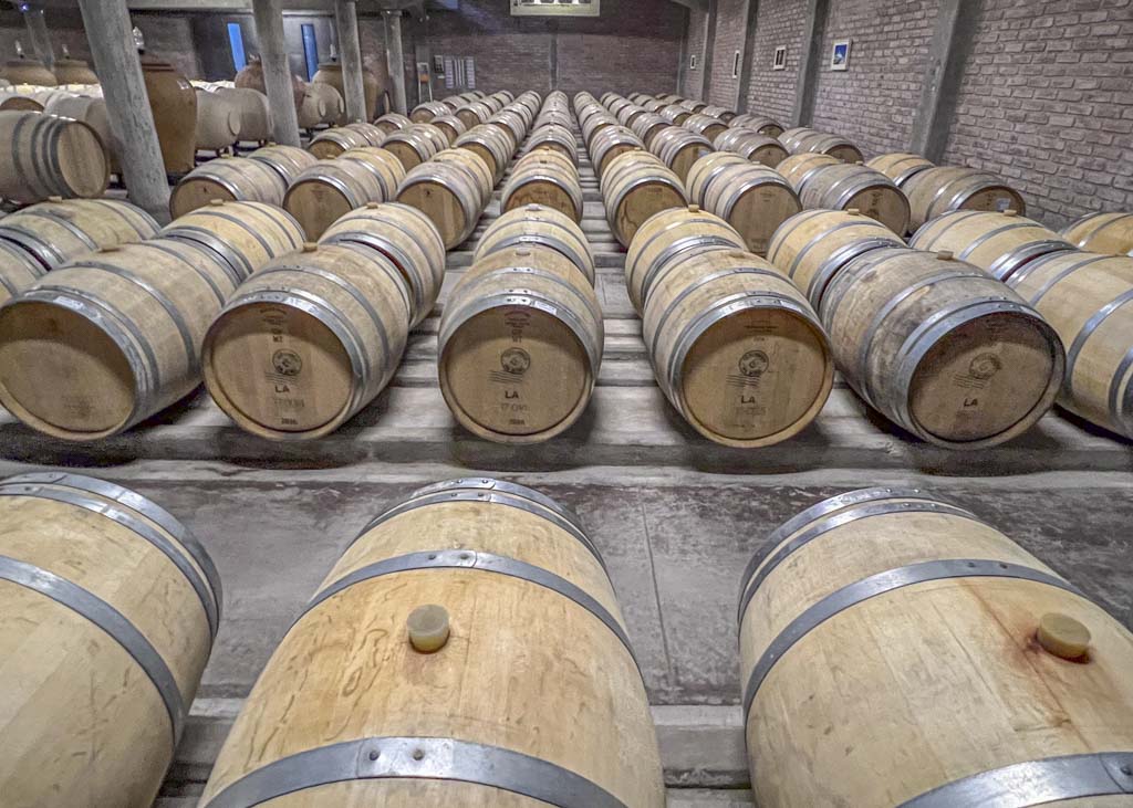 Uco Valley wineries mendoza