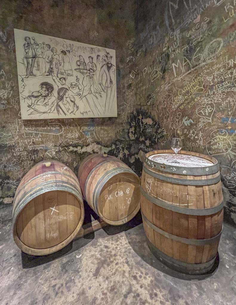 Wine barrels in a cellar at bodega pulmary