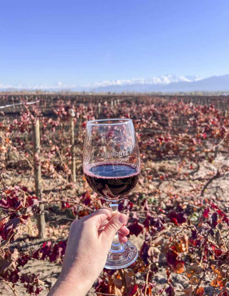 a person holding a glass of wine with with Lujan de Cuyo vineyards in the background