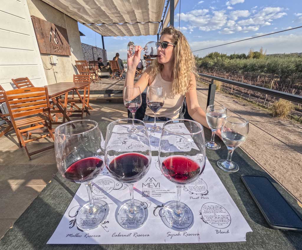 A woman drinking a glass of wine overlooking a vineyard in Maipu