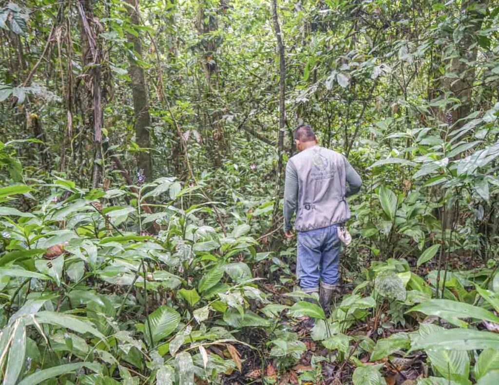 Things to do in the Amazon Jungle Peru